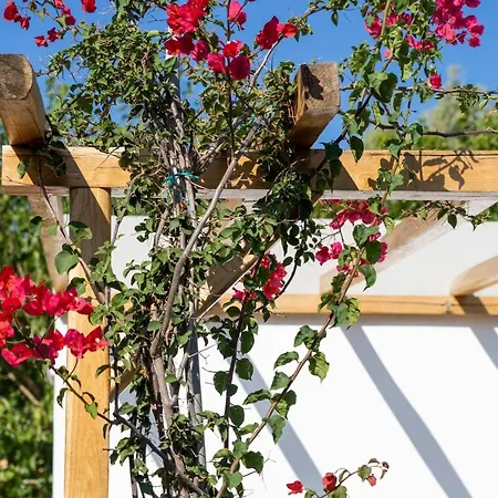 Курортный комплекс Anassa Cycladic Village