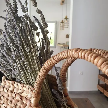 Anassa Cycladic Village