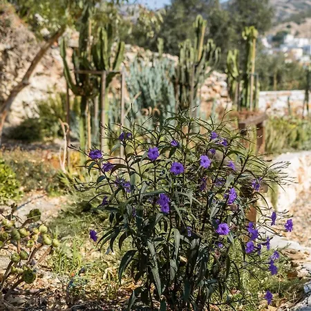 Anassa Cycladic Village Rezort Galissas