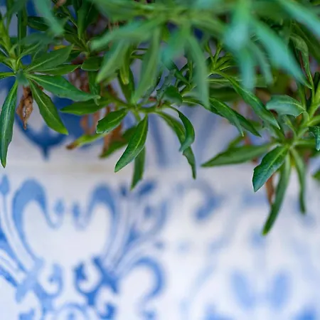 Anassa Cycladic Village Галиссас