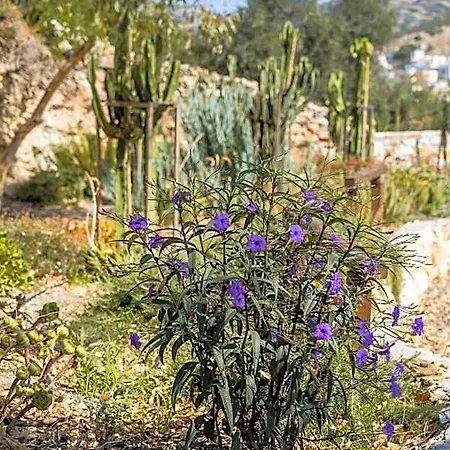 Anassa Cycladic Village 度假村 *
