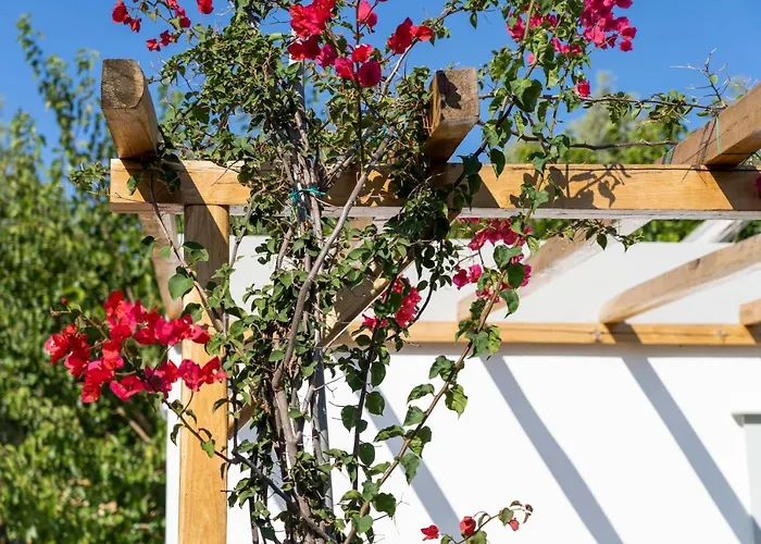 Resort Anassa Cycladic Village