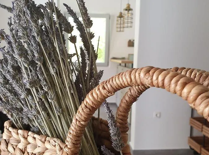 Anassa Cycladic Village