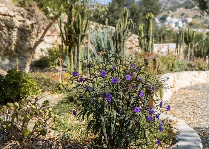 Anassa Cycladic Village Resort Galissas