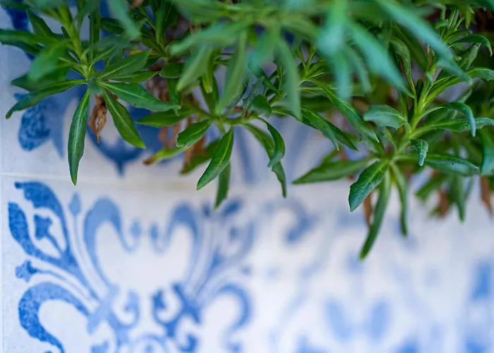 Anassa Cycladic Village Galissas